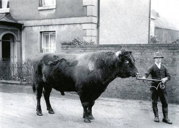 Read more about the article Views of Lound Past & Present