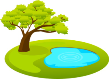 Read more about the article Linghurst Lakes Maintenance