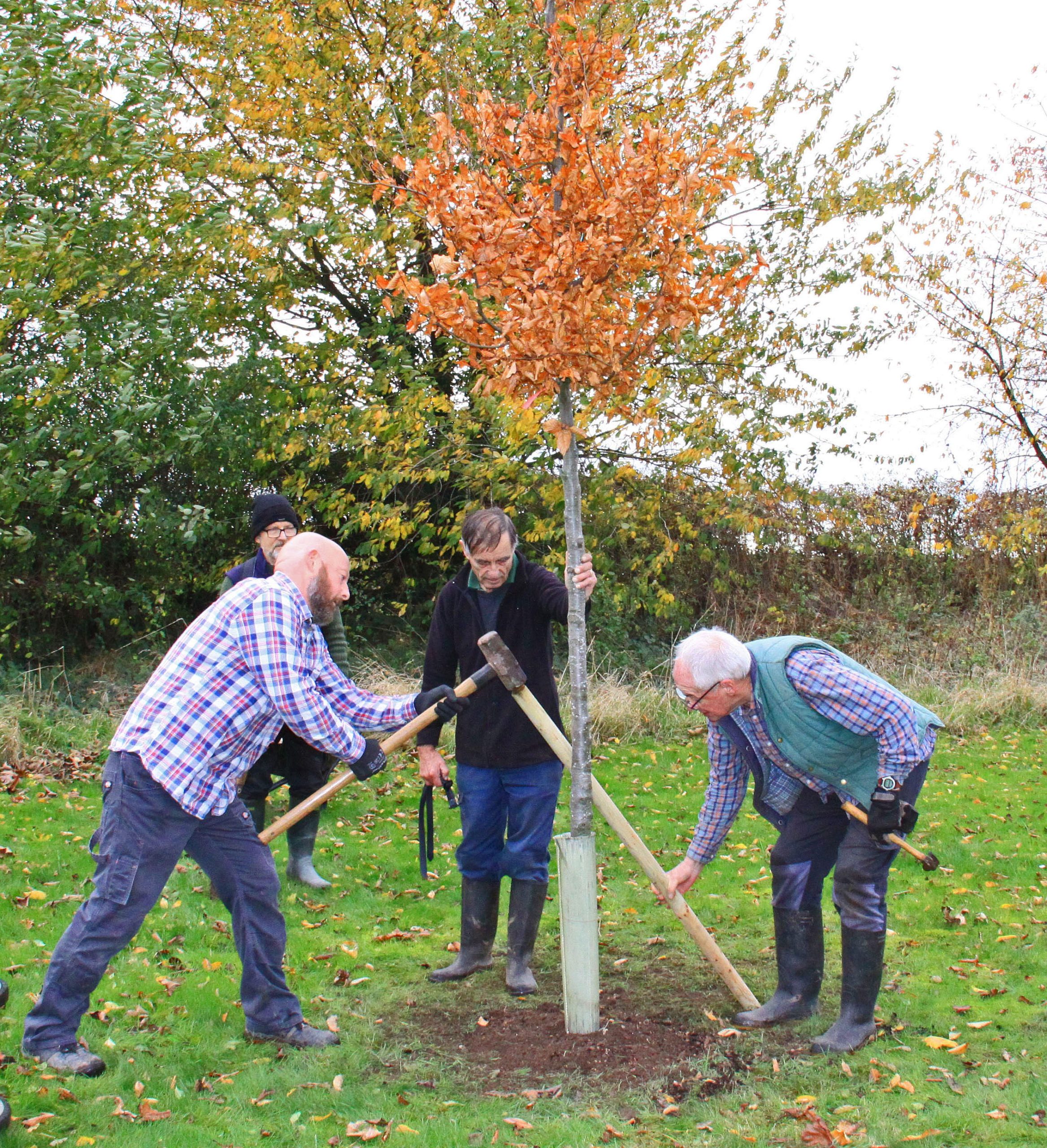 Read more about the article Lound Awarded A Queen’s Green Canopy Plaque