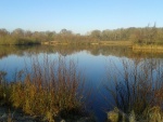 Linghurst Lakes (02)