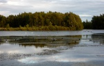 Daneshill Lakes (04)
