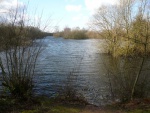 Daneshill Lakes (06)