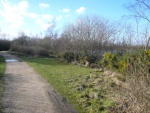 Daneshill Lakes (07)