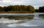 Daneshill Lakes (13)