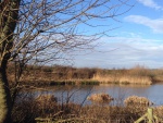 Linghurst Lakes (04)