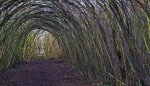 Idle Valley (04)